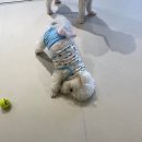 멍설유치원 이미지