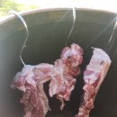 또오래민박 이미지