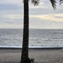 비치캐슬 이미지