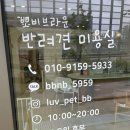 뽀비애견 네이버블로그
