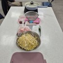 북부장애인종합복지관 이미지