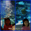 서관4 이미지