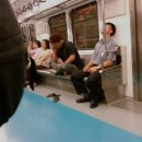 축제의 바다 이미지