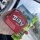 [대천바이크] 대천 해수욕장 아이와 함께 ATV 대여