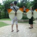 나비농장 이미지