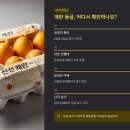 이수축산농장 | 계란 등급, 1등급·2등급 차이와 조회 방법