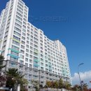 해솔중학교 맞은편 이미지
