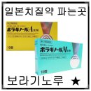 일본 치질약 : 보라기노루 연고 좌약 이미지