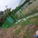 영성농장 이미지