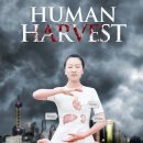 다윗TRADE 이미지