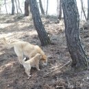 오복농장 이미지