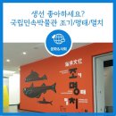 [문화] 생선을 좋아하신다면 꼭 가보세요! 국립민속박물관 조기, 명태, 멸치 전시