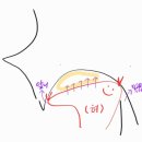 (주)씨마스 | 프렌젤 이퀄라이징 성공후기 꿀팁