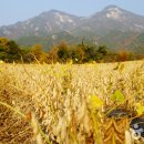 장익는마을 이미지