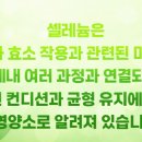 셀메드 현대약국 이미지