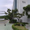 장승백이공인중개사사무소하나점 | 처음엔 연수동부동산만 보려 했는데, 영남아파트부동산 기준으로 접근이 바뀐 상담 후기