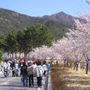 영암 월출산 왕인 문화축제 이미지