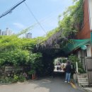 보성꽃식물원 이미지