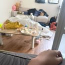 내 미래 직업: 술 공병 판 돈으로 연봉1억🍻