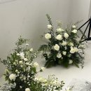 W12. 전주 웨딩촬영 플라워디렉팅 얼리썸머(early summer) 추천 내돈내산 후기