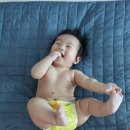 태그하우스 이미지