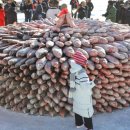 성은자원 이미지