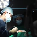 희소성형외과의원 이미지