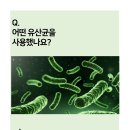 마루덴탈 이미지