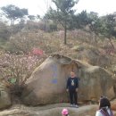 (주)교남환경 | 0412 황도대주산 진달래산행