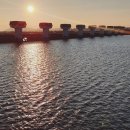 하단동1202 이미지