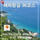 바우길 8구간 | [해파랑길 36코스] 정동진역에서 안인해변까지! 괘방산 능선따라 걷는 숨겨진 상급 코스 총정리