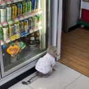 세븐일레븐서면5호점 이미지