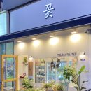 플라젠트 이미지