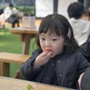 킴스베리 이미지