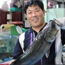 태양수산 티스토리