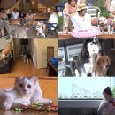 유진여관 이미지