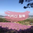 장한건강원