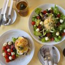 원천리천 | 수원 벚꽃 명소 : 신동카페거리 벚꽃길 : 2026.04.02 개화상태 후기