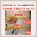 에르떼앙 에스테틱