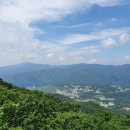 정상 정자 이미지