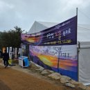 거창 항노화 힐링랜드 | 2025 거창 감악산 아스타 국화축제(꽃별여행), 거창 항노화힐링랜드, 거창 창포원