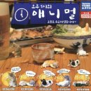 롯데리아강릉 이미지