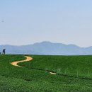 이삭골 농장 이미지