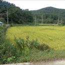 도전리 마을회관 이미지