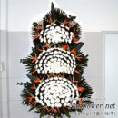 (유)정일 이미지