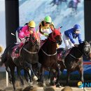 (주)부경럭키 이미지