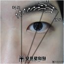 눈썹이날개다 이미지