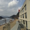 리버트리스쿨 | 강원도 춘천 대형 카페 홍천강 뷰가 멋진 ‘플로팅플로우’ 메뉴, 가격, 포토존 내돈내산