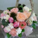 소울57 이미지