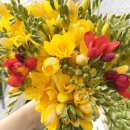 거야농장 이미지